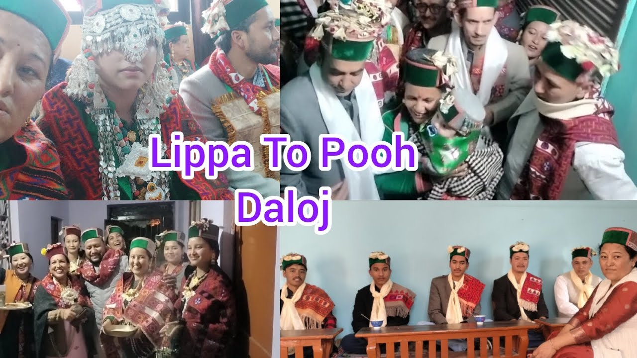 Lippa To Pooh Daloj (Part -1)|| Meri Bhatiji ka Daloj ❤️|| Kinnauri Wedding || Chhering Yankit ||