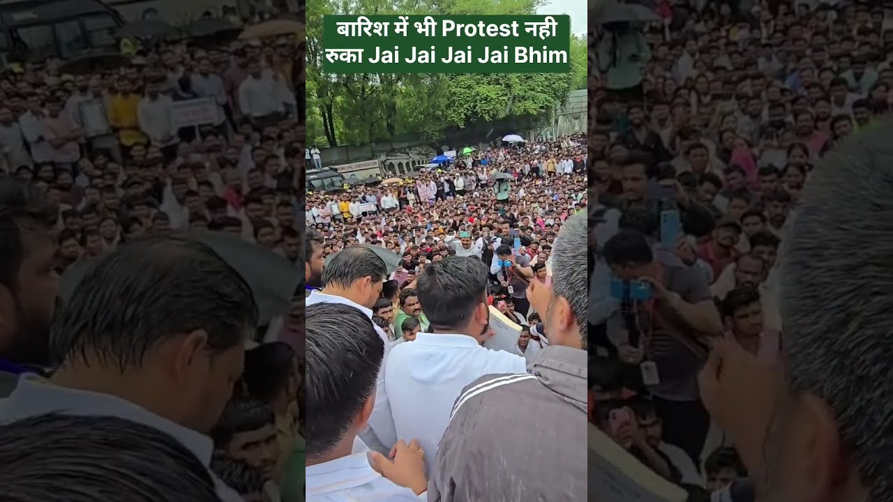 CJP News Protest Update Today/Today Cockroach Protest News Video Update