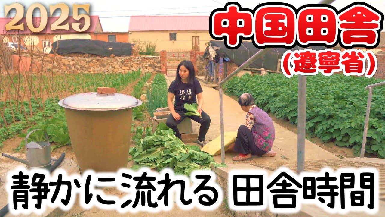 穏やかな中国田舎のスローライフ｜粽作り2025 Slow life in the nostalgic countryside