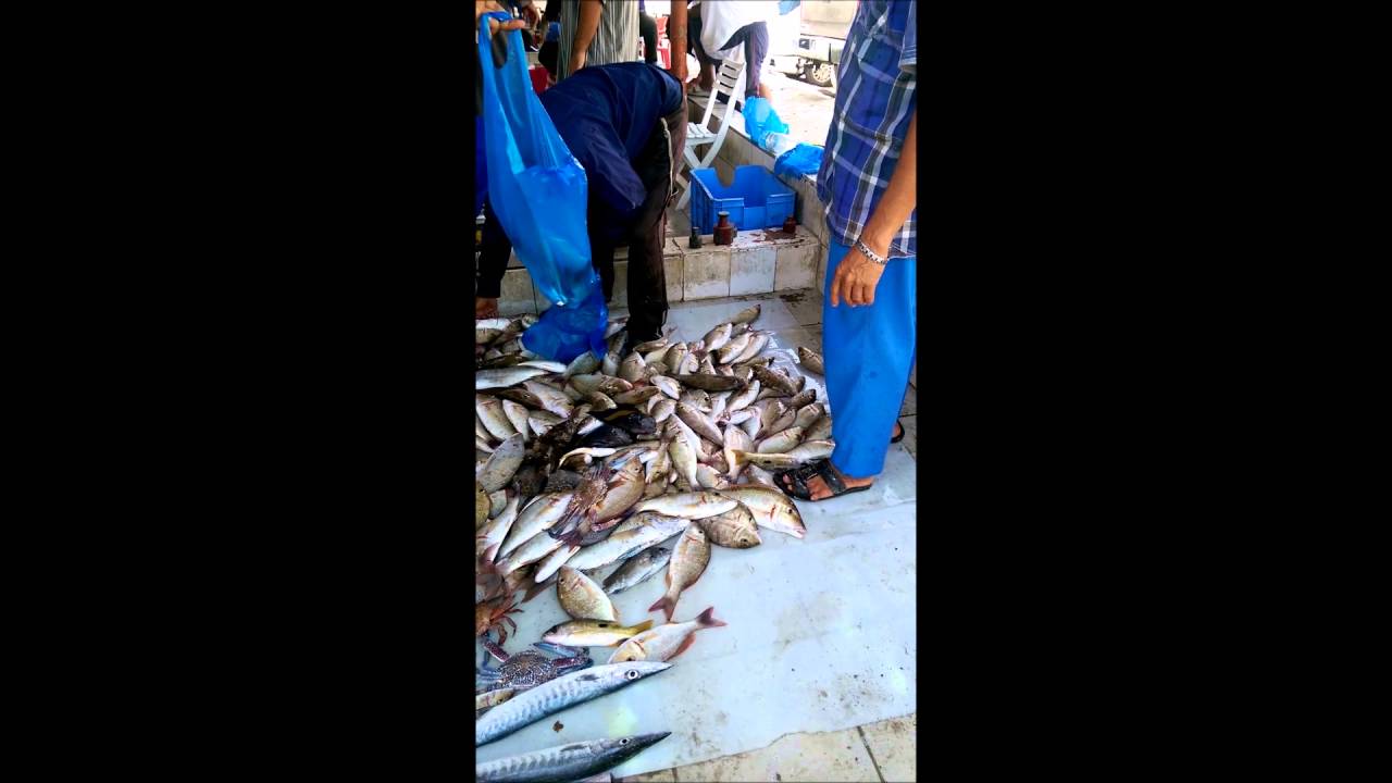 sharjah fish market