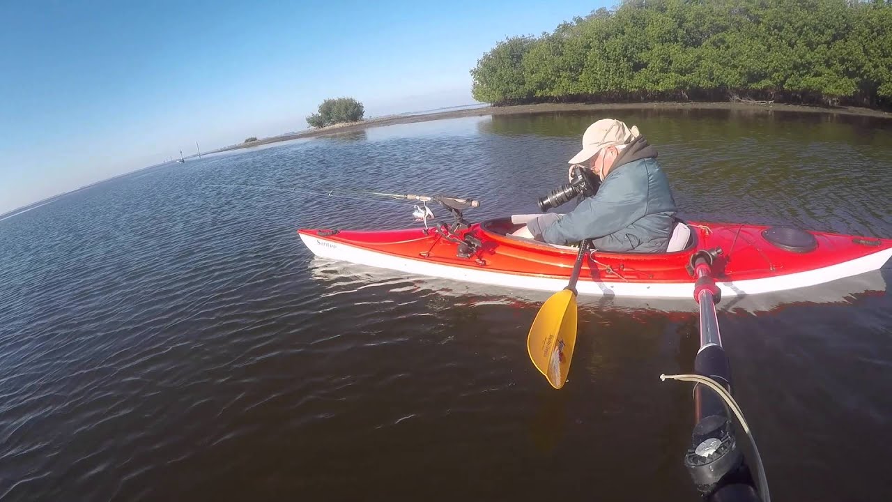 Wildlife Photography From a Kayak