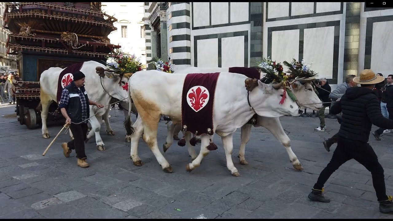 🕊⚜️🎇 Firenze, lo Scoppio del Carro 2023. 🎇⚜️🕊 Explosion of the Cart in Florence Easter 2023