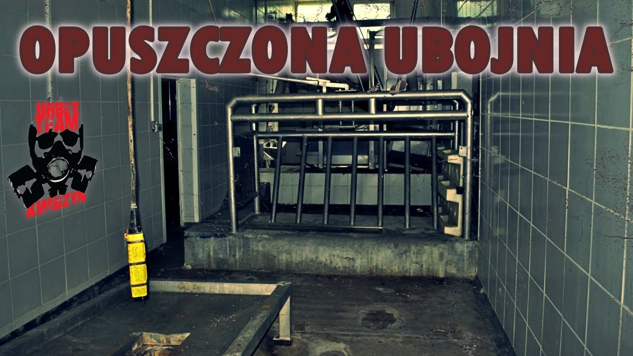 OPUSZCZONA UBOJNIA PEŁNA WYPOSAŻENIA | #urbex #opuszczonemiejsca #eksploracja