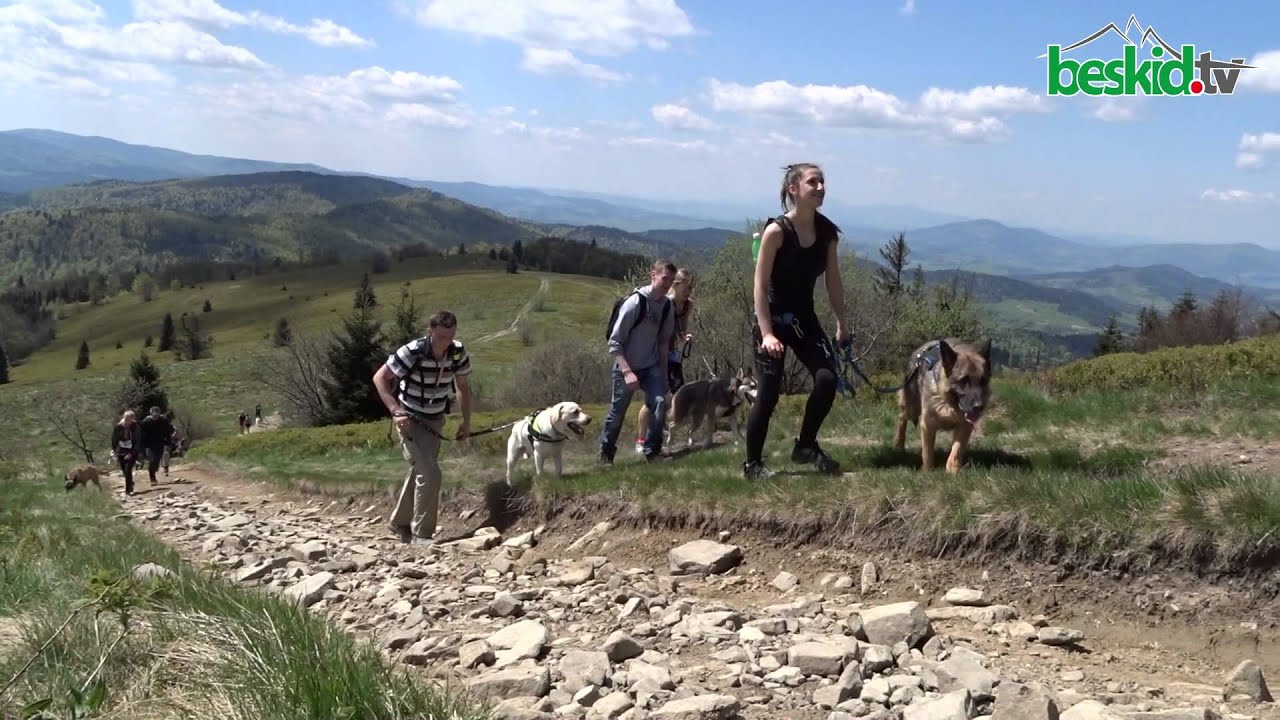 Dog Trekking Mogielica 2015