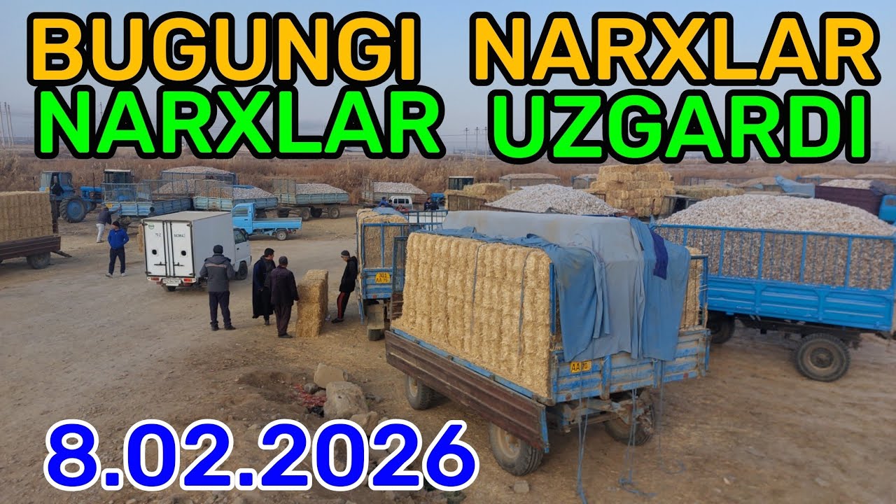 8.02.2026 EM XASHAK CHANG'ALOQ SOMON BEDA PRESS NARXLARI QARSHI MOL BOZORI YONIDA 