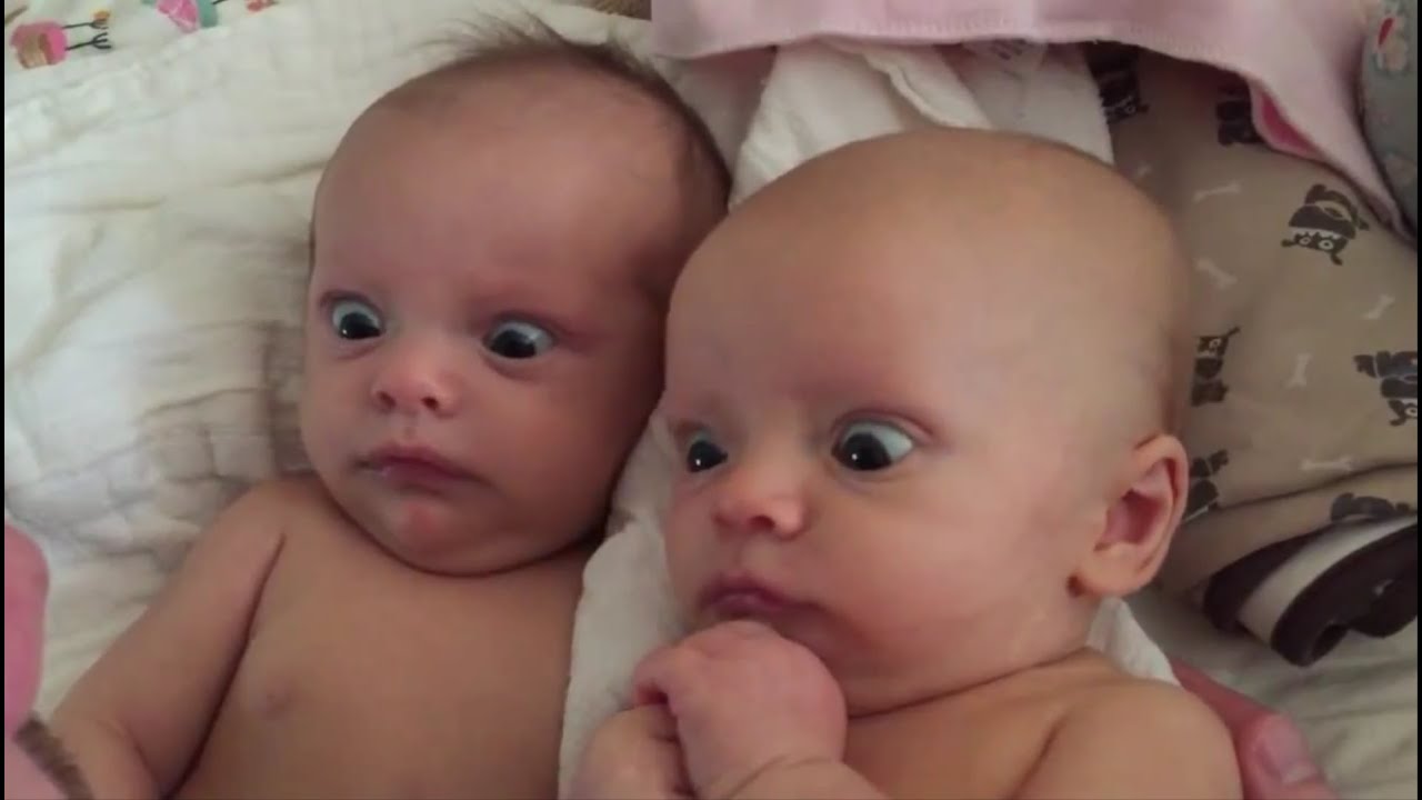 Top 10 Sjove Baby-Videoer 2015