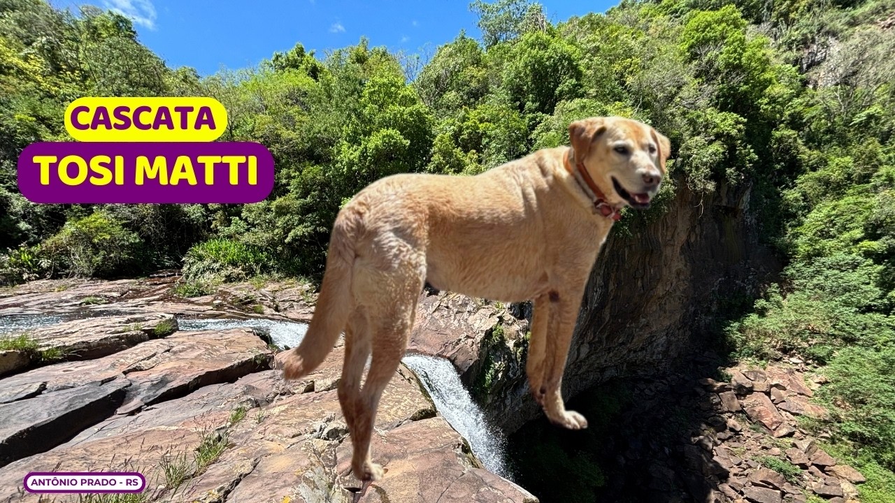 😱 PERRENGUE no TOPO: deu RUIM? Cascata Tosi Matti | Parque Tosi Matti | Antônio Prado