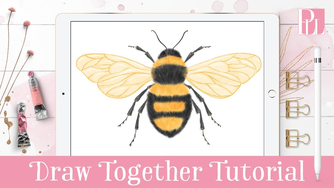 How to draw a Bee step by step in Procreate Tutorial