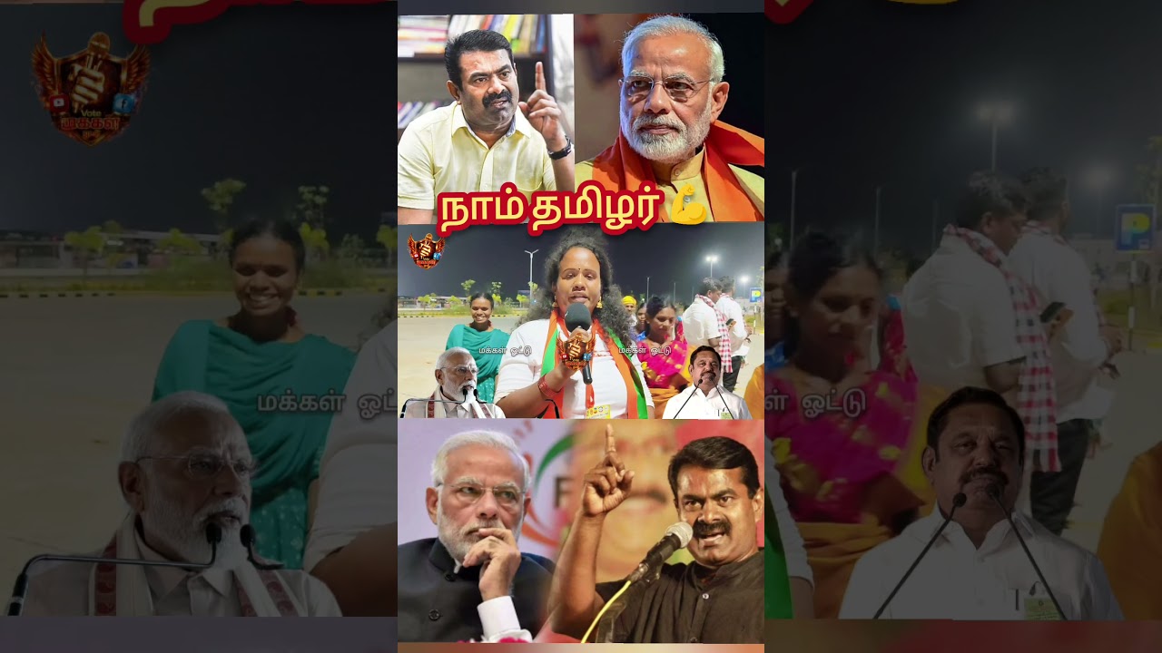 நாம் தமிழர் | NTK vs BJP Public Opinion | NTK vs TVK Public Review | NTK Seeman | tamilcinemareview