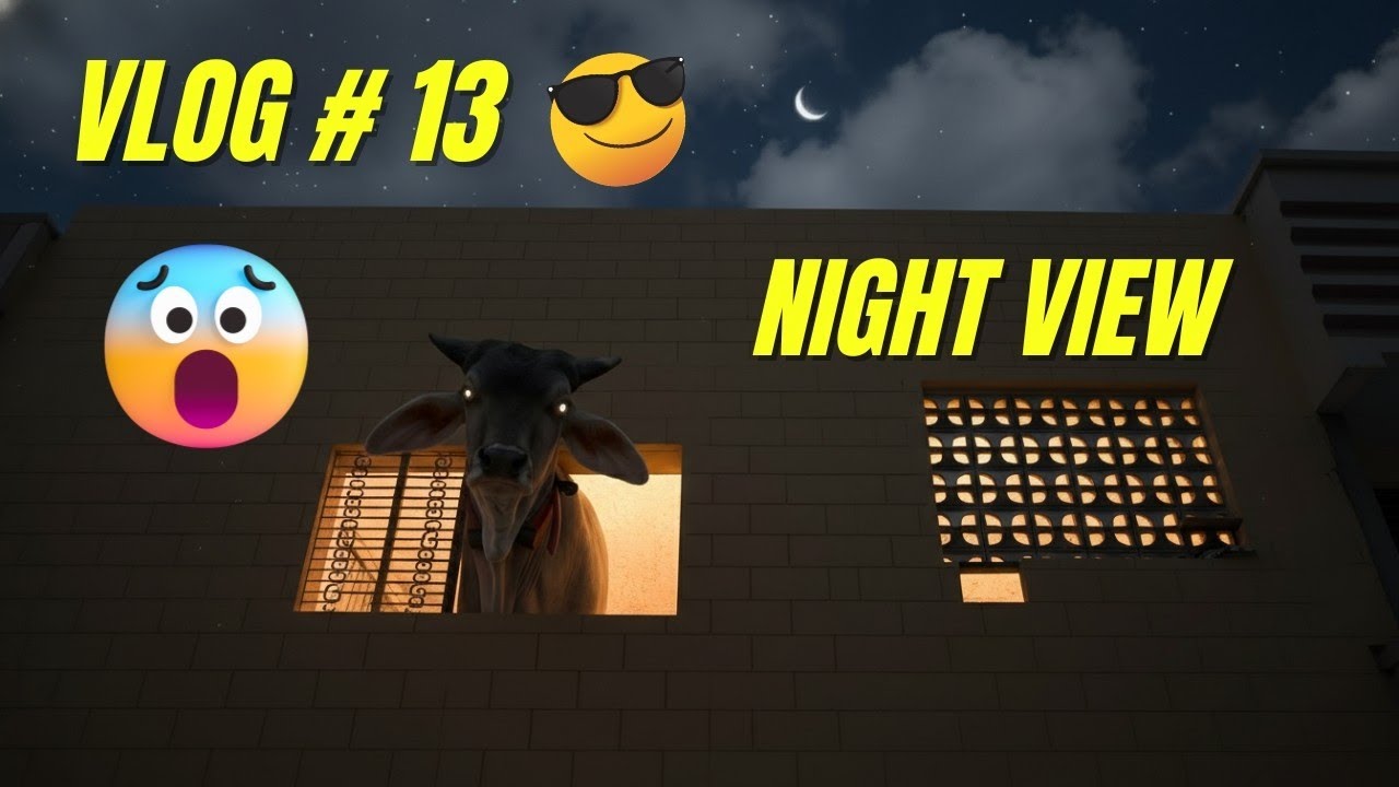 VLOG #13 | Night View 🌙😱 | Buffalo at Night in Village | Pakistan Village Vlog