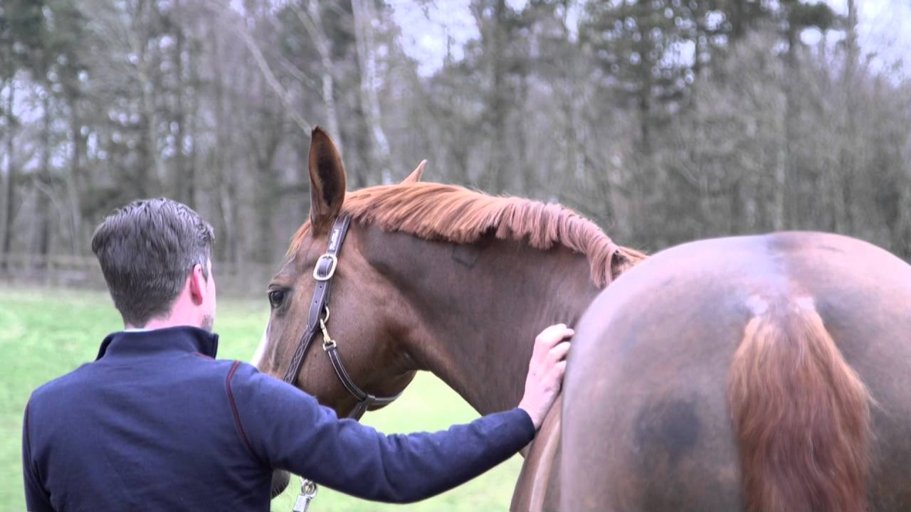 Velfærdsprisen 2016