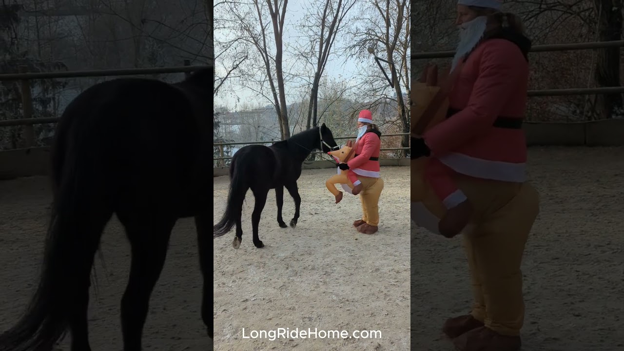Santa’s Secret  Horse Training Secret? 🎅🦌 