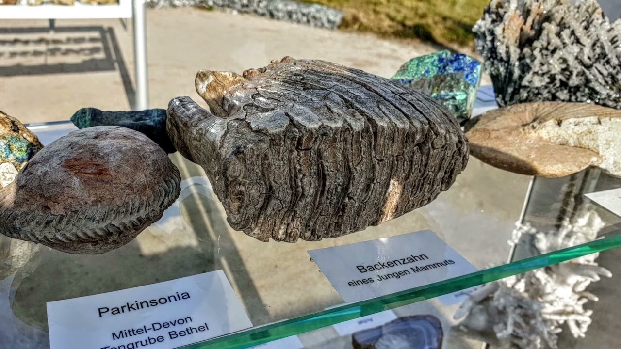 Exkursion in den Geopark bei Suttrop