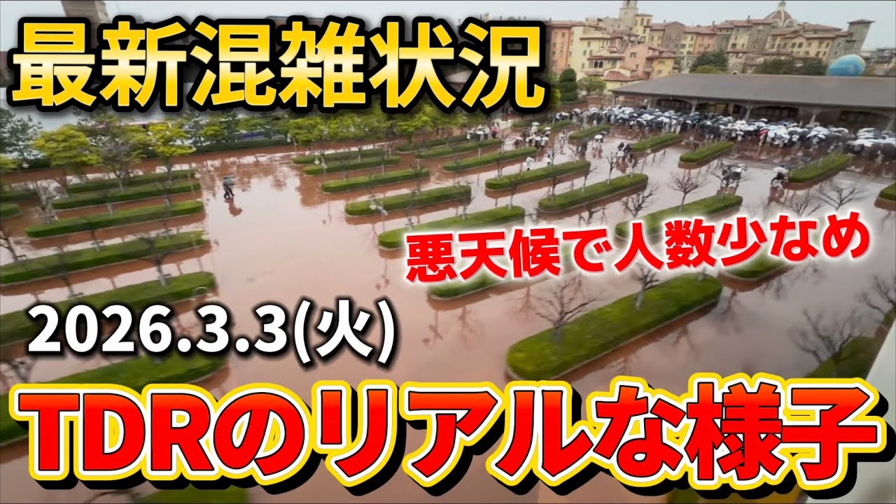 【超速報】大雨で閑散期クラスの人数⁉️ディズニーリゾート最新混雑状況【2026.3.3】