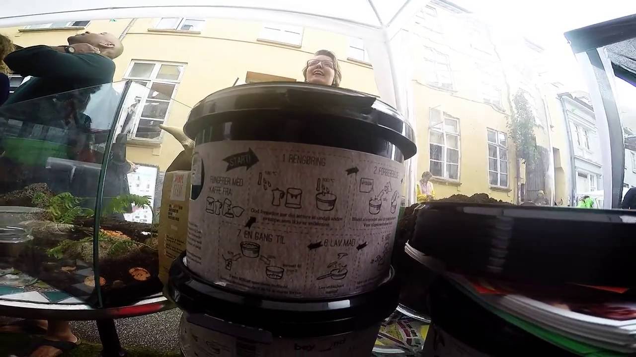Østershatte i kaffegrums