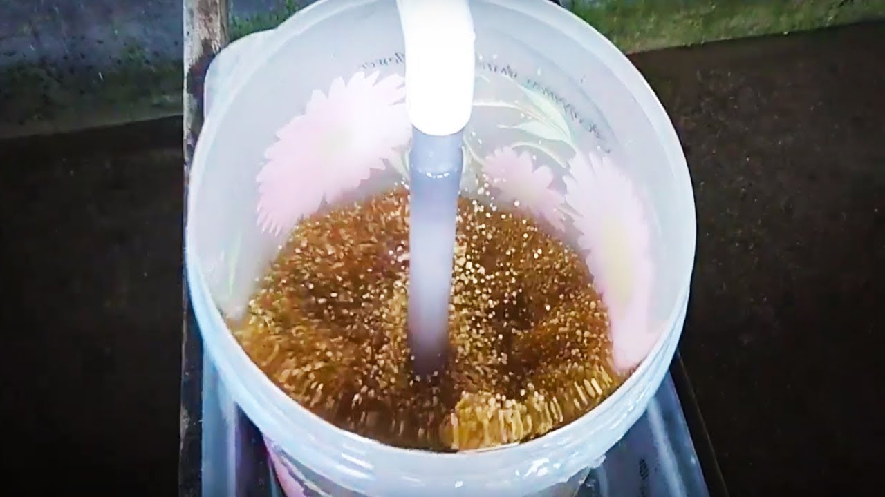 Catfish Breeding Techniques | Fish Eggs Hatching Magur Fish Breeding Farm | Best Way Catfish Farming