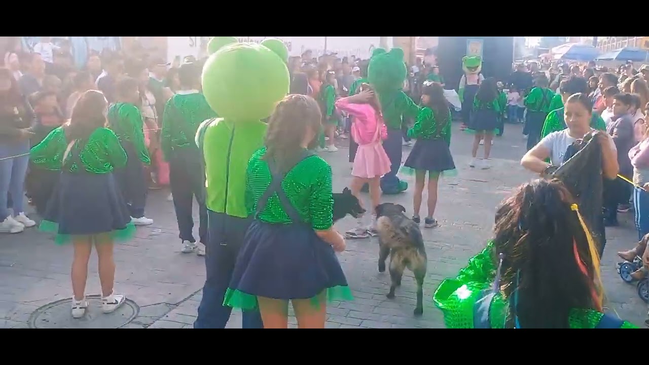 Grupo de Animación "Organización Lobos Del Guerrero” |Paseo de la conchita|San Mateo Atenco 2025|