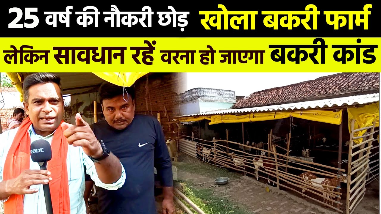 आधे से अधिक GOAT FARM पर शुरुवात में ही हो जाती है बकरी कांड🙏लहठान के बकरी फार्म पर क्यों ऐसा हुआ👀