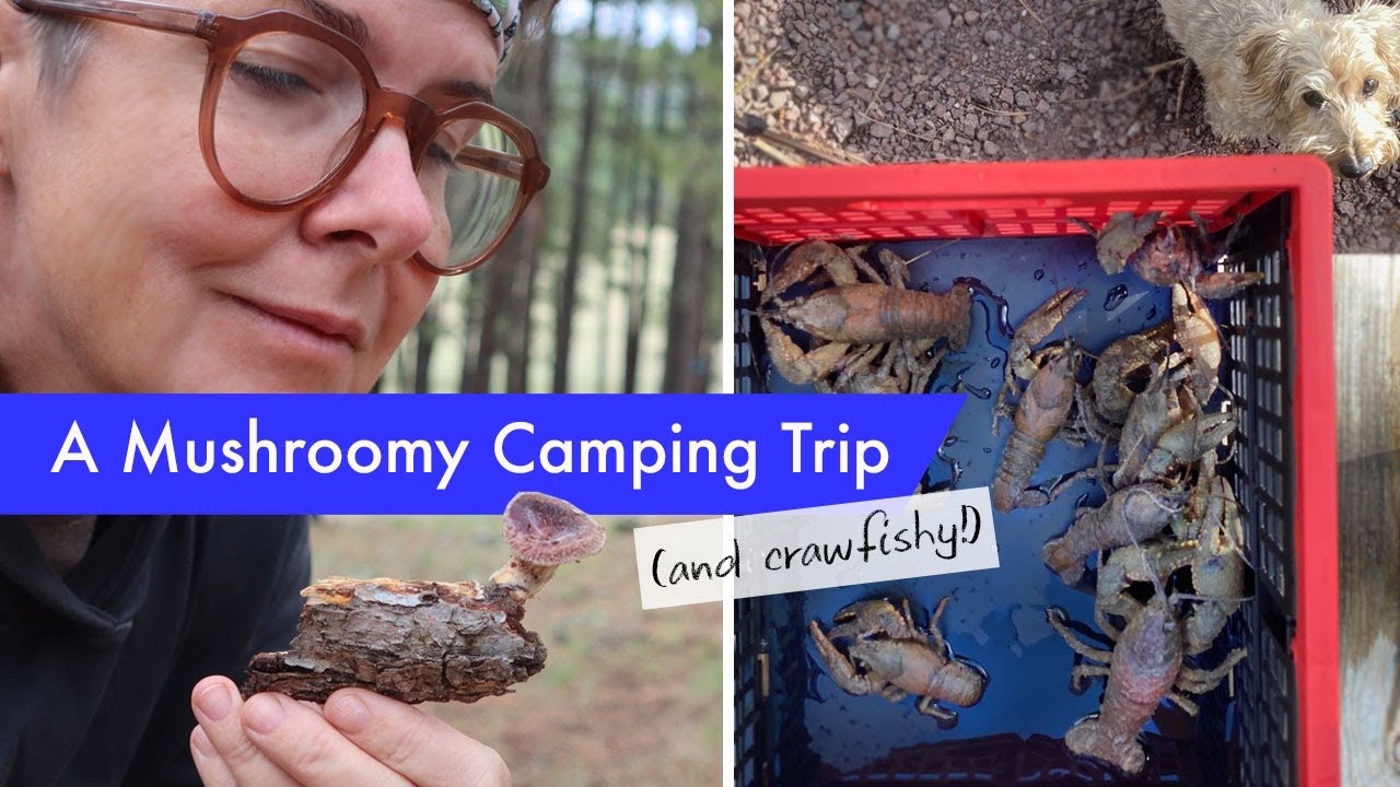 A Mushroom-y 4Runner Camping Trip, pt 2: the foray, camp cocktails, pasta + a surprise crawfish boil