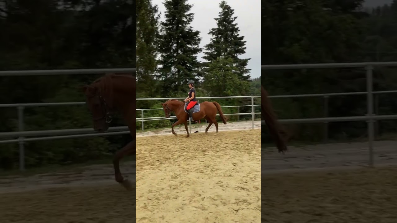 Heute kommt kein langes Video online wegen der OWWM 🙈 N&auml;chste Woche aber ein umso cooleres Video 😍