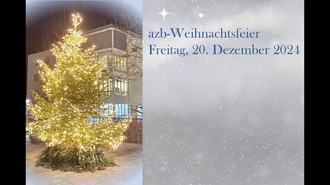 Weihnachtsvideo 2024