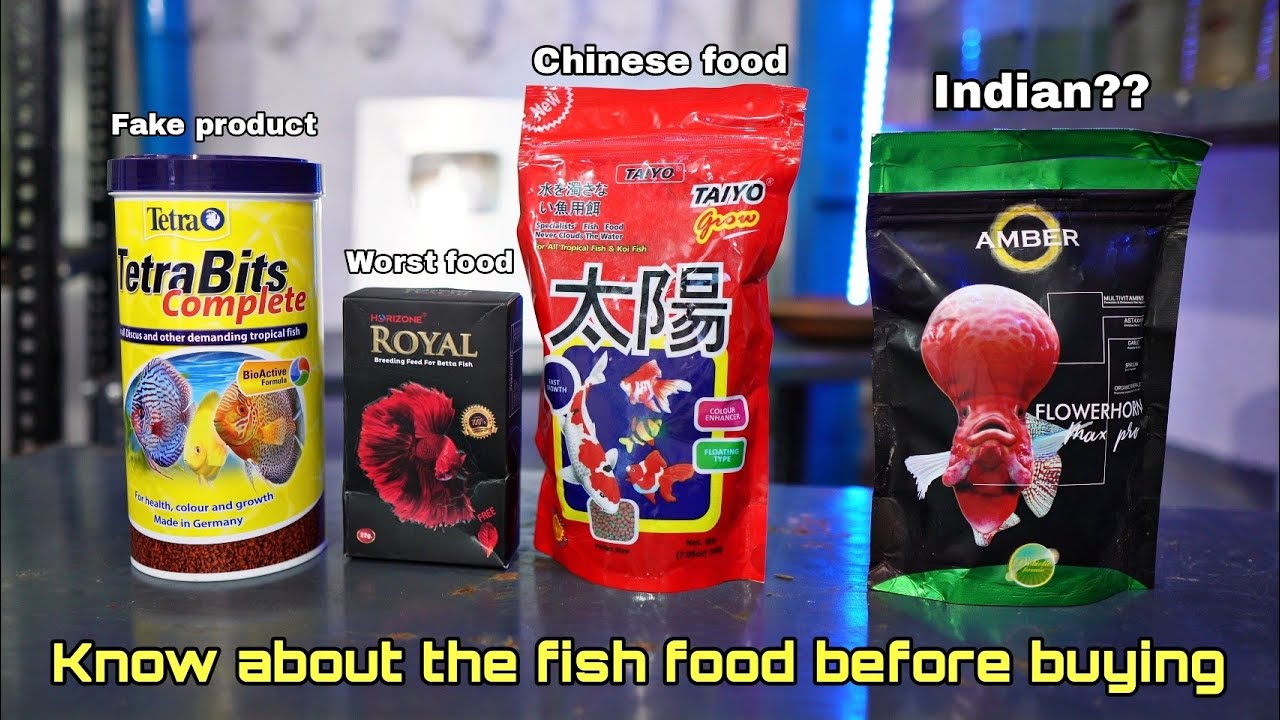 Most important aquarium video ever | தமிழ் | betta fish food | gold fish food | Flowerhorn food