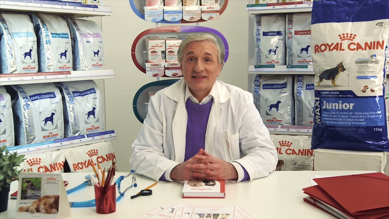 Royal Canin Maxi Puppy (Роял Канин Макси Паппи) сухой корм для щенков крупных пород