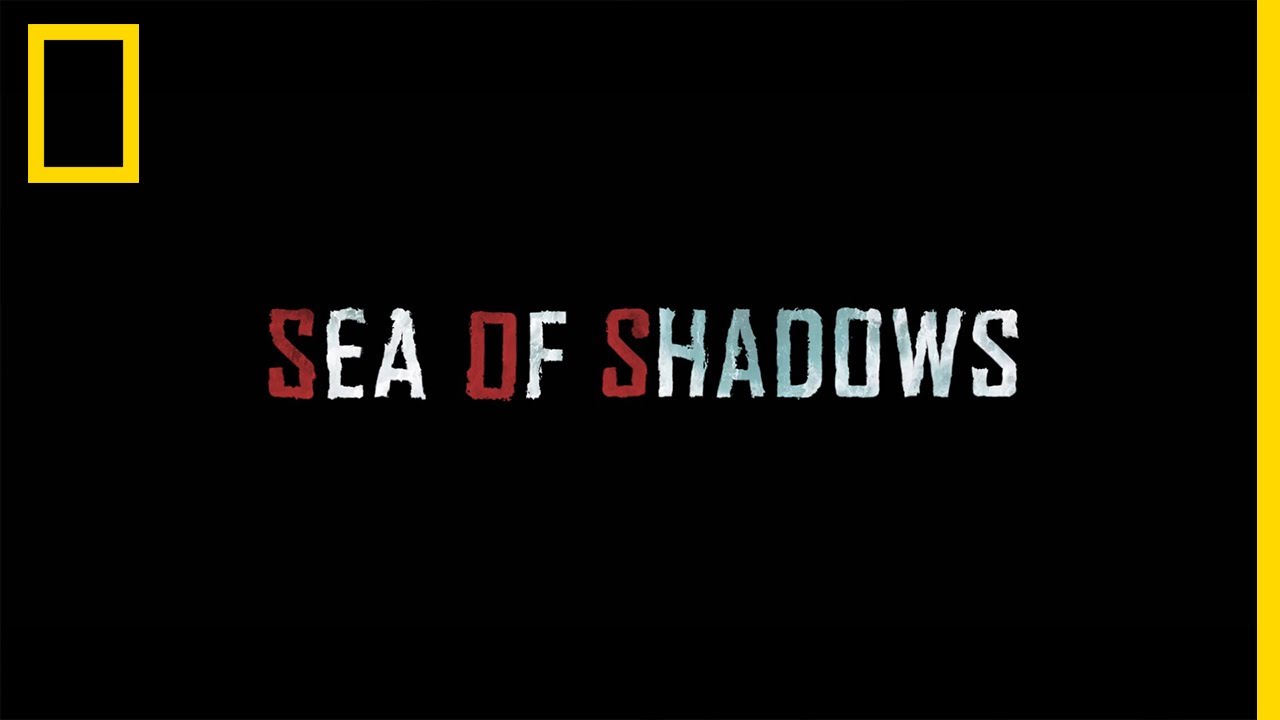 SEA OF SHADOWS