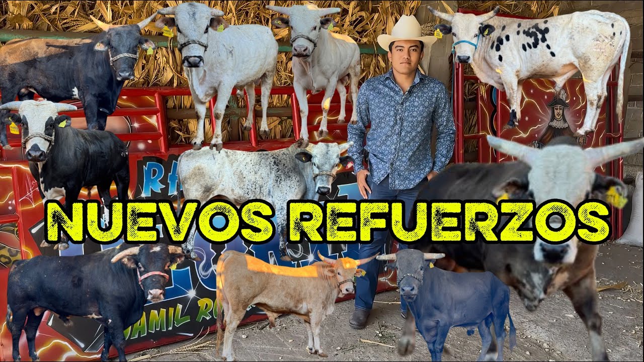 SIGUEN LLEGANDO REFUERZOS AMERICANOS/EL ESFUERZO DE UN AÑO/ RANCHO LA GLORIA DE JAMIL RODRÍGUEZMEJÍA