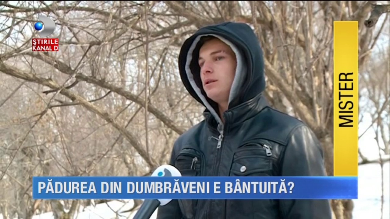 Stirile kanal D - Padurea din Dumbraveni, bantuita? Semnele care i-au speriat pe localnici