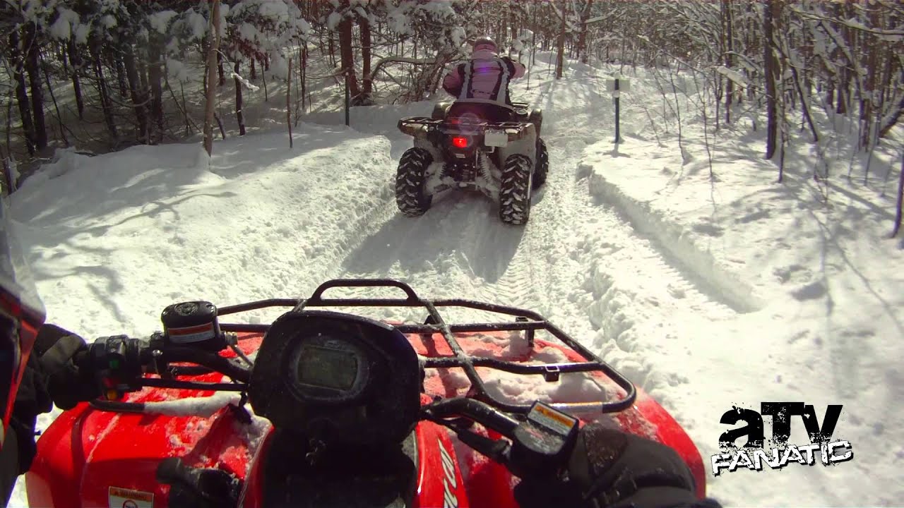 Arctic Cat & Yamaha ATVs blasting through the forest in the snow