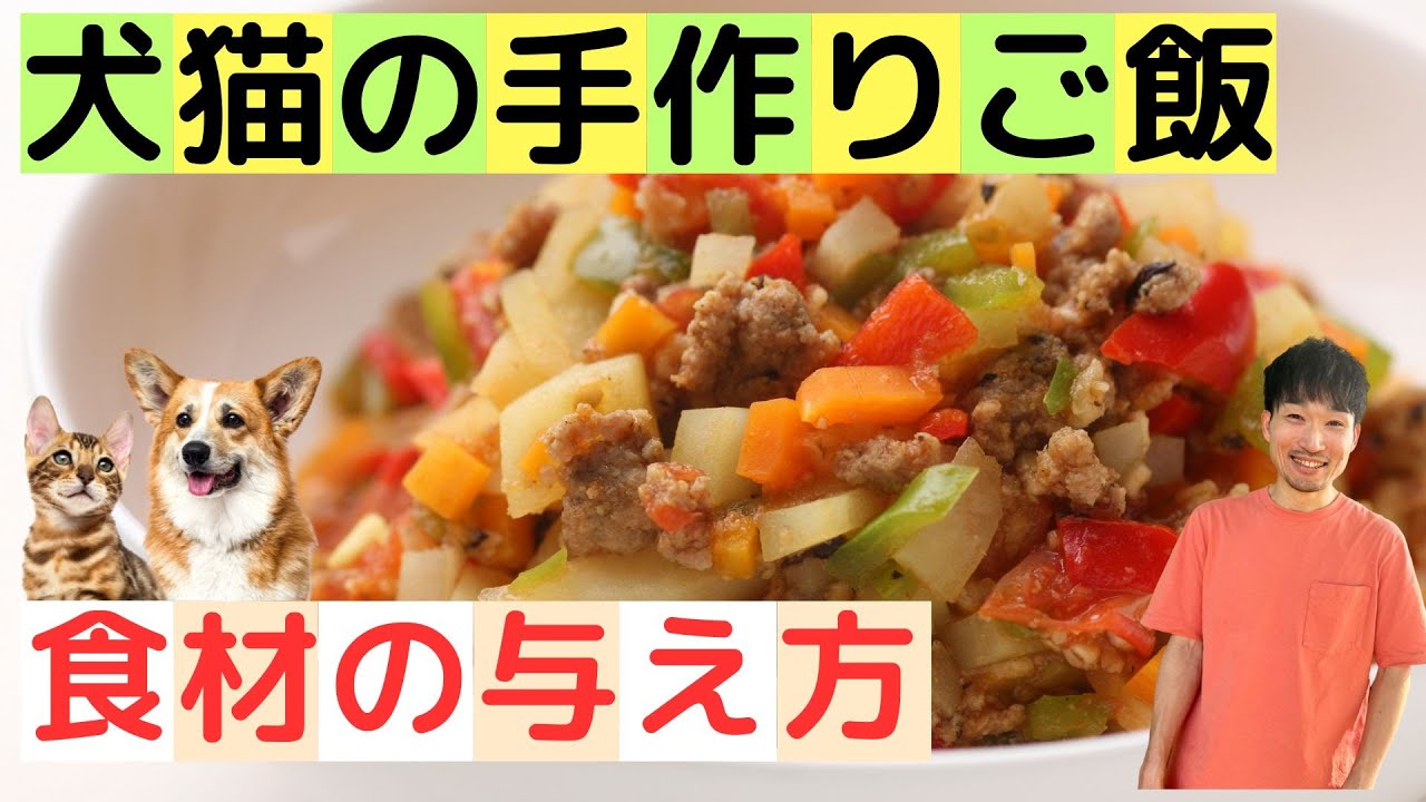 犬猫の手作りご飯の作り方【食事指導のプロが解説】