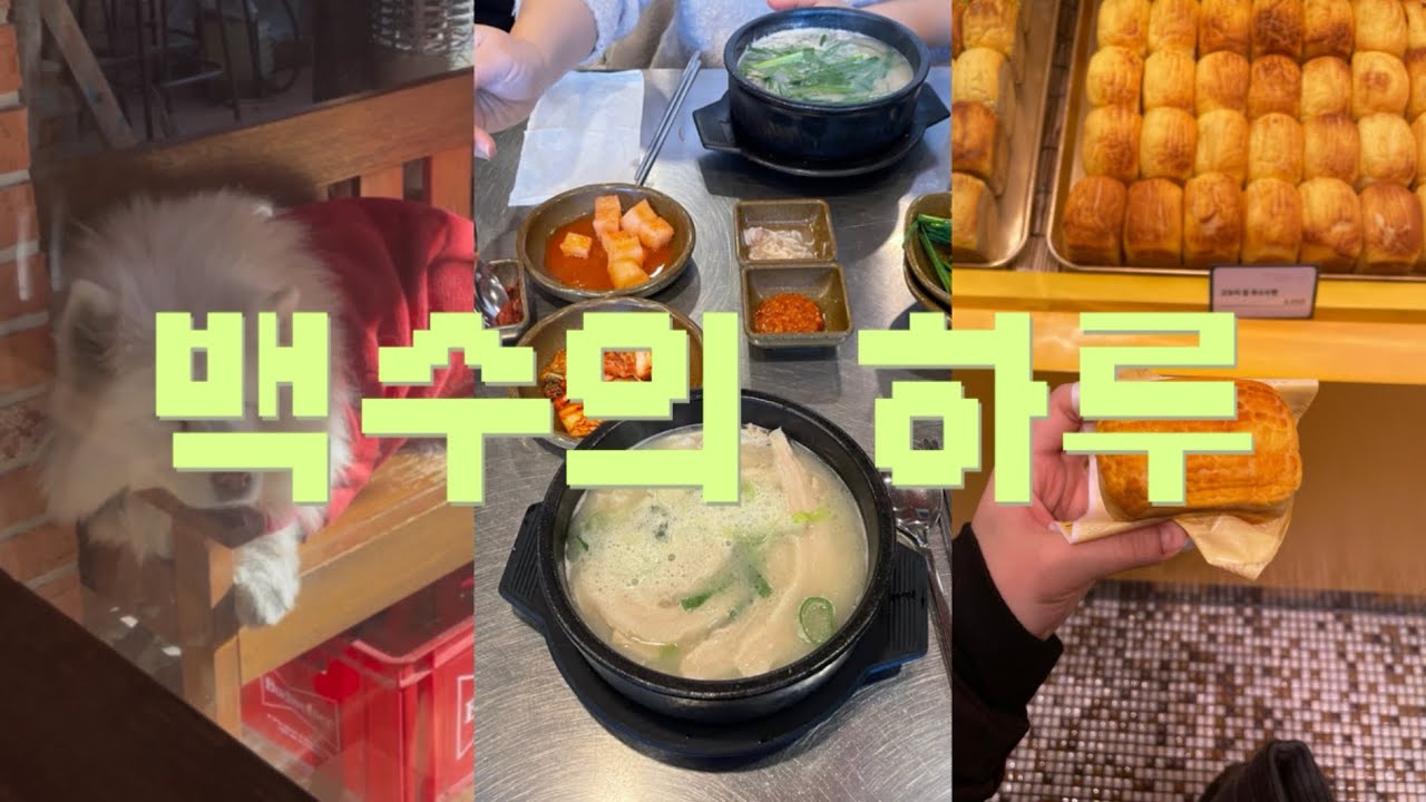 [VLOG] 예비 백수의 하루☀️🫧| BUSAN 다녀왔어요🌊🦀| 수변최고돼지국밥🐷| 광안역 근처 카페 | 고모리 찰 옥수수빵🍞💛
