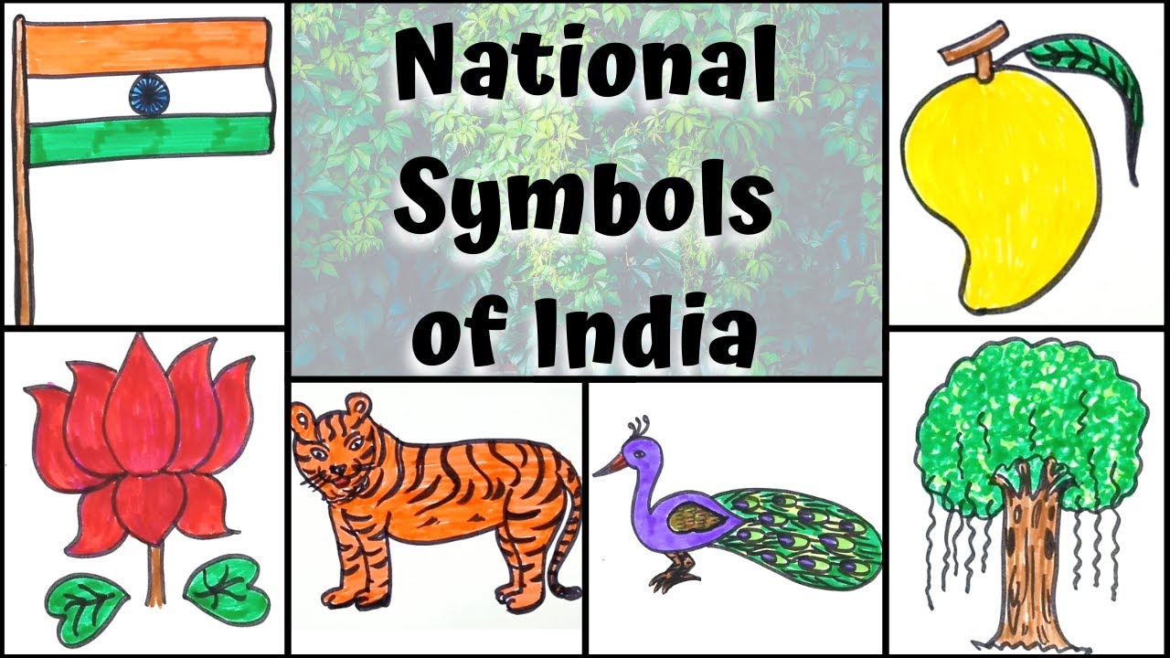 How to Draw National Symbols of India ( भारत के राष्ट्रीय चिह्न ) for Kids for Republic Day Drawing