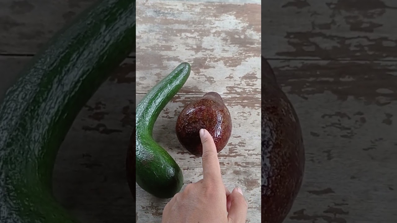 Alpukat lokal vs alpukat import, saya pilih lokal #buah #shorts #alpukat #buahbuahan #enak