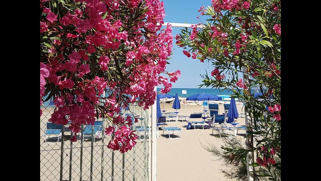 2 video SPOT HD Hotel Villaggio Gabbiano Beach Vieste - Gargano - Puglia
