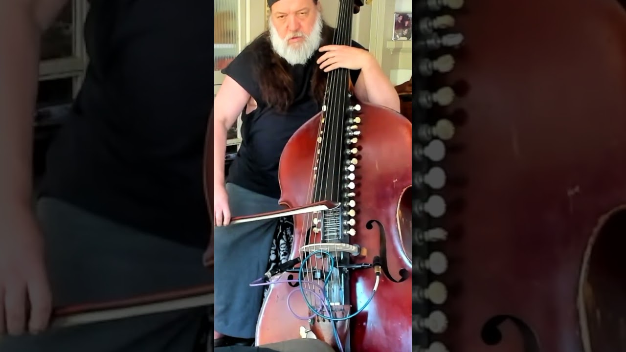 Mark Deutsch Bazantar demo #conversationswithmusicians  #musicianinterview