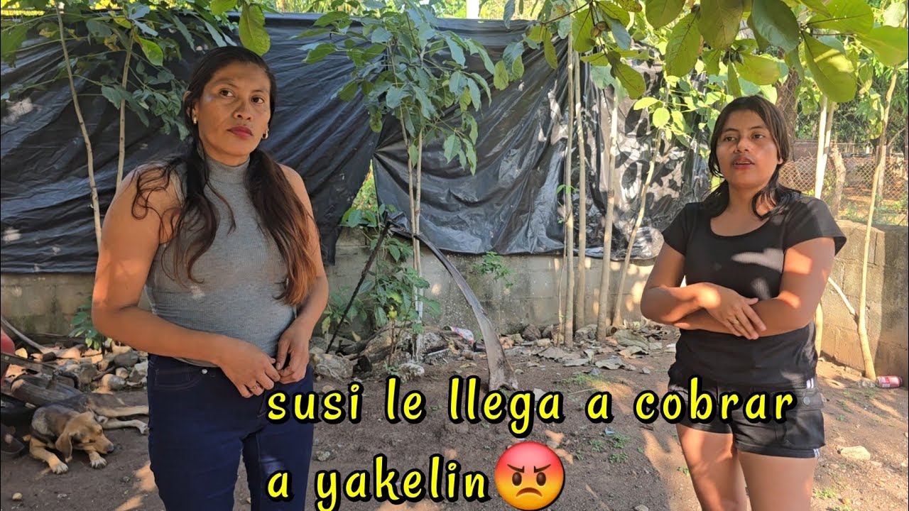Susi Llega A Cobrarle A Yakelin😡Jorge Los Mando A Cobrar Sus Pagos🤑