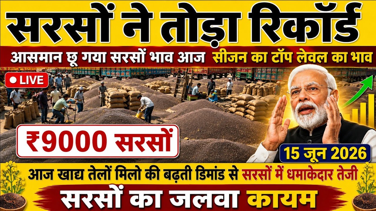 🔥 सरसों ने तोड़ा सीजन का रिकॉर्ड | ₹9000 के पार पहुंची सरसों | 15 जून 2026 सरसों मंडी भाव 