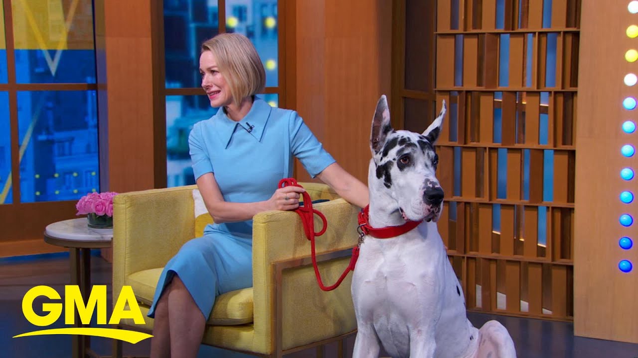 Naomi Watts discusses her new film, 'The Friend'