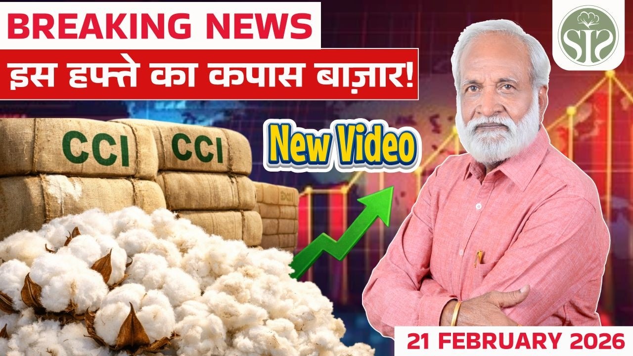 साप्ताहिक कपास बाज़ार रिपोर्ट 🧐Weekly cotton market rate #kapas #youtube