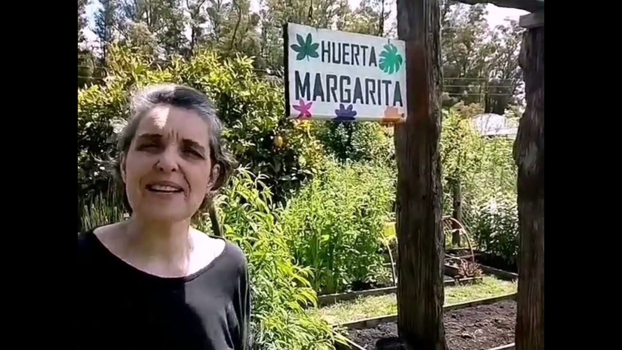 La #huerta de Trinidad Mujica en #udaquiola #pba en modo #primavera #shorts