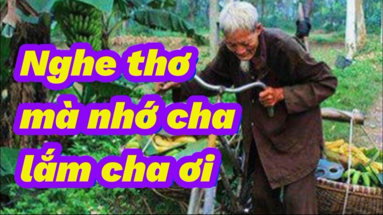 Nếu là bạn, bạn có rớm nước mắt không- NHỮNG BÀI THƠ HAY VỀ CHA - Các tác giả - Mỹ Duyên