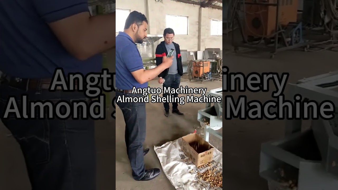 Automatic Almond Shell Cracking and Separator Machine | Almond Processing Line