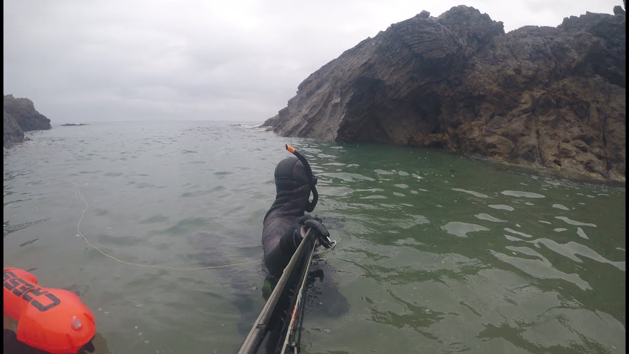 PESCA SUBMARINA en Septiembre 2022. Cantabria
