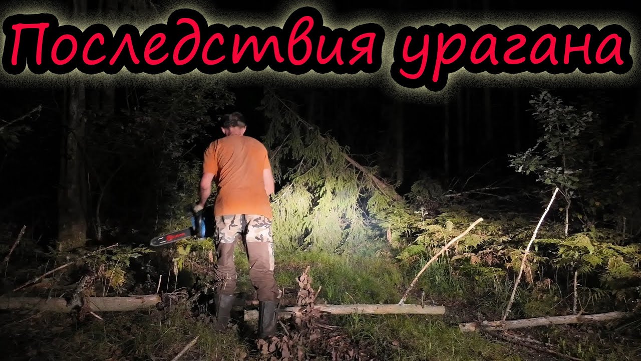 Сюрпризы от природы // Последствия урагана  // Подготовка к сенокосу // Будни МОЛОЧНИКА // Семья Лях