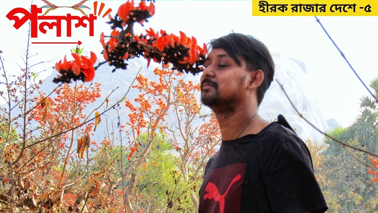 বসন্তের পলাশ -মন কেমন করা অনুভূতি । । Joychandi Pahar। । Purulia