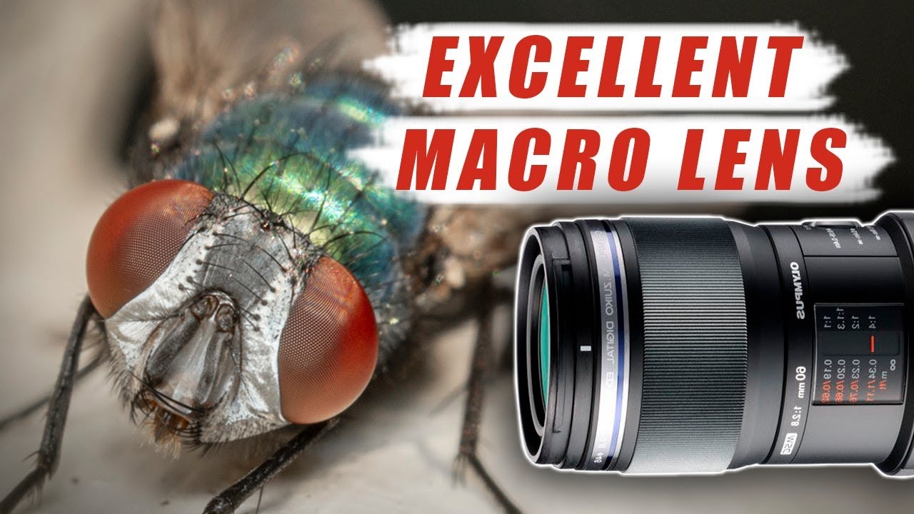 Olympus Zuiko 60mm F2.8 MACRO - Is it the best MFT macro lens !? - review, tests and opinion
