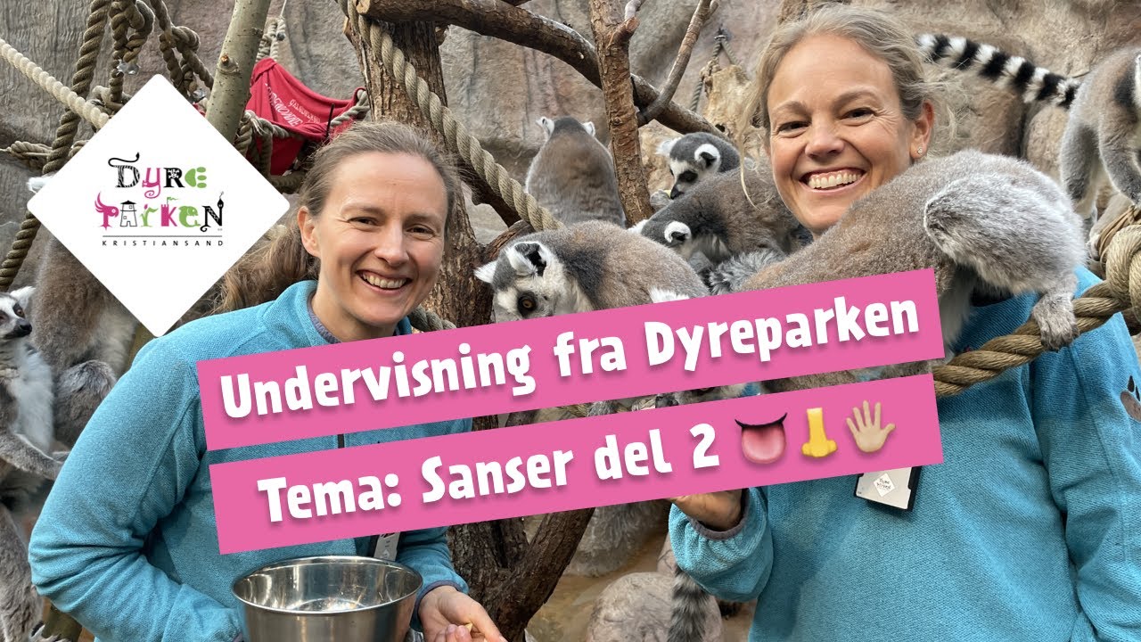 Undervisning fra Dyreparken: Sanser, del 2 👅👃🖐🏼