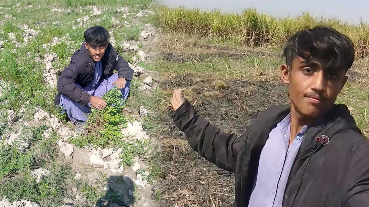 My Love Village New Valog 2026 |میرا پیارا گاؤں کا ولوک 